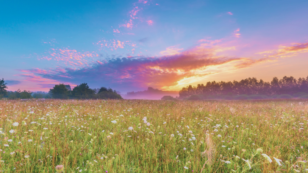 The Healer’s True Role Is Restoring Balance, Not Controlling Outcomes